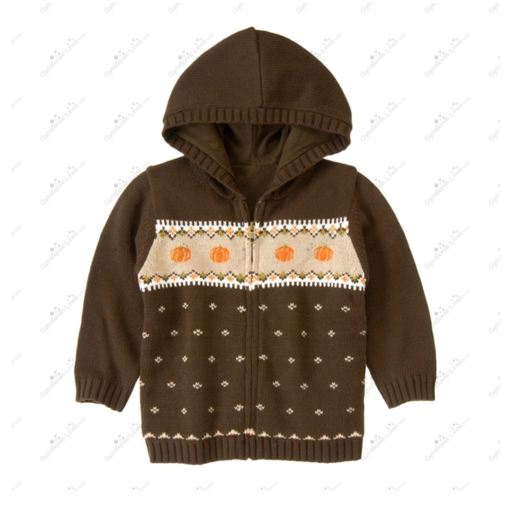 Fair isle pumpkin sweater hoodie